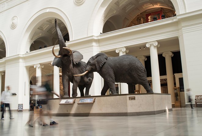 Chicago CityPASS® - Shedd Aquarium: the family favorite