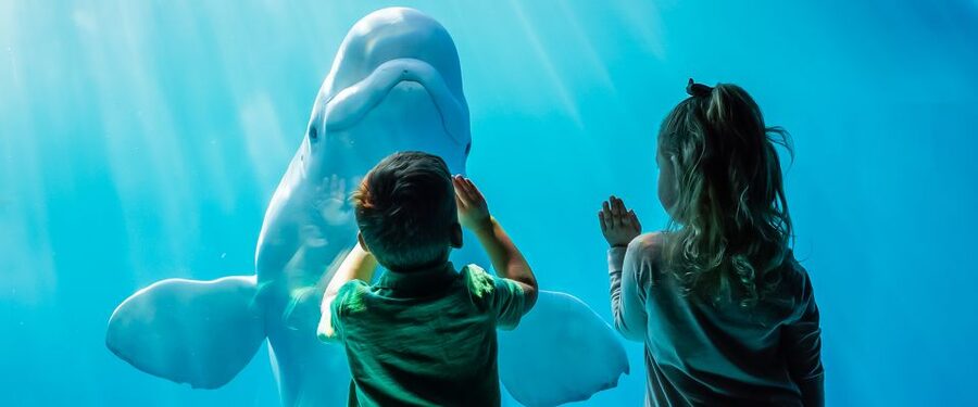 Chicago CityPASS®: Save up to 49% at 5 Top Attractions - 360 CHICAGO: another view, different choice