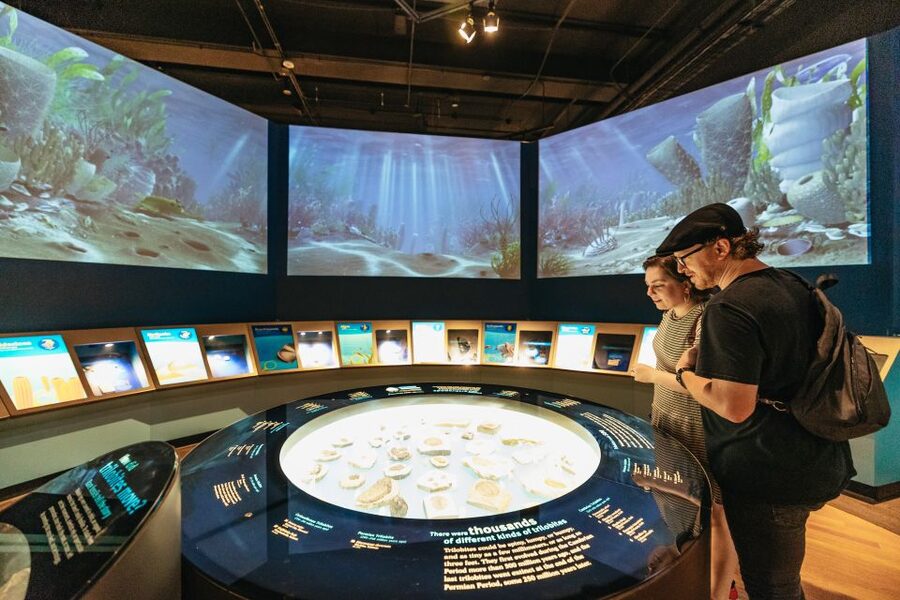 Chicago: Field Museum of Natural History Ticket or VIP Tour - Final verdict: book it if you can give it time