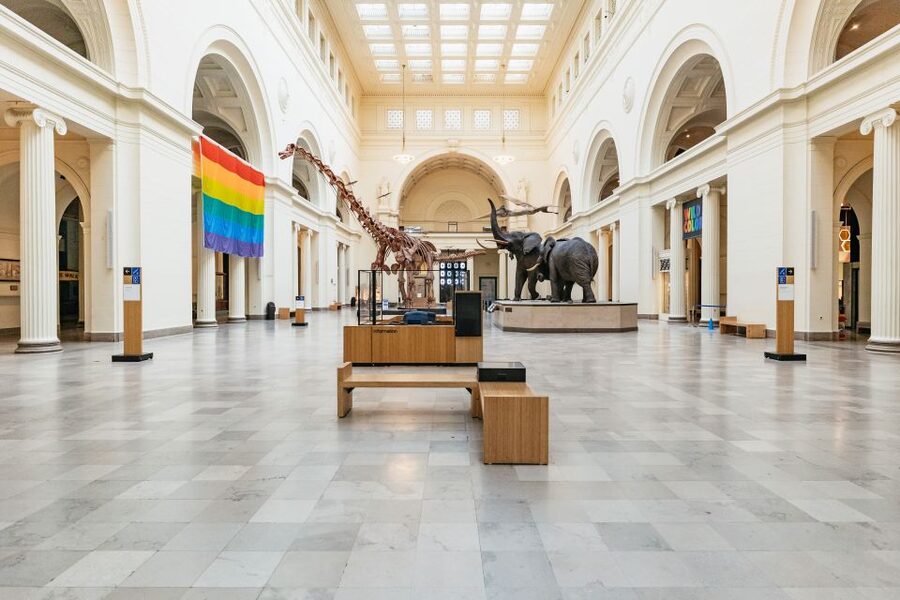Chicago: Field Museum of Natural History Ticket or VIP Tour - Entering the Field Museum and choosing your ticket