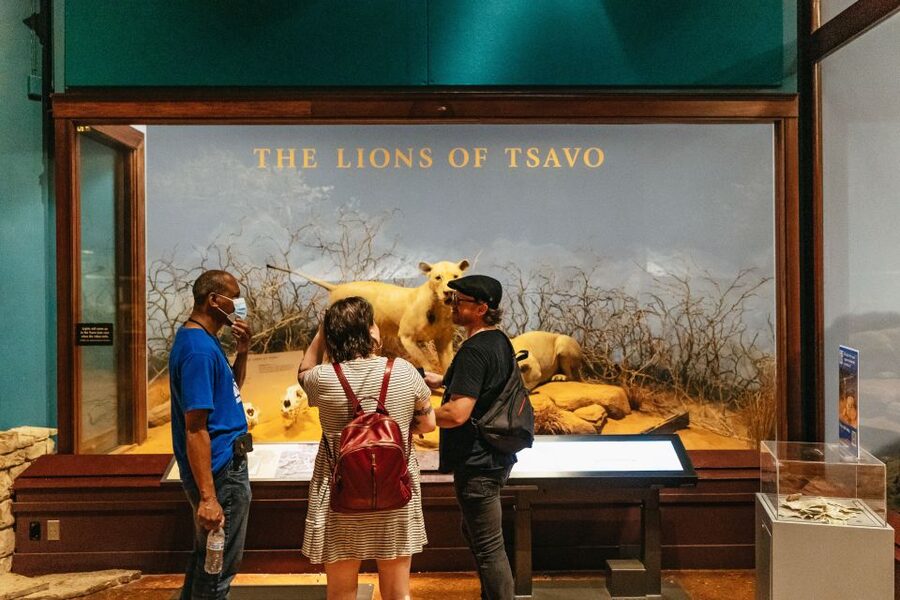Chicago: Field Museum of Natural History Ticket or VIP Tour - From the Lions of Tsavo to Underground Adventure