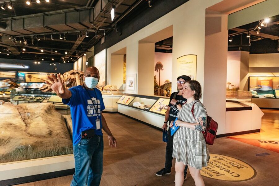 Chicago: Field Museum of Natural History Ticket or VIP Tour - Ancient America and the museum’s cultural galleries