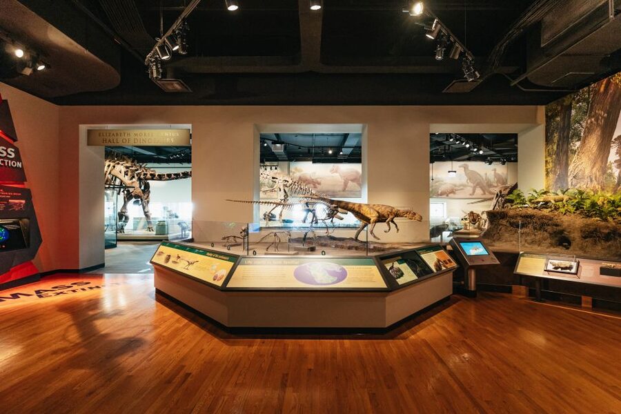 Chicago: Field Museum of Natural History Ticket or VIP Tour - How long you really need inside