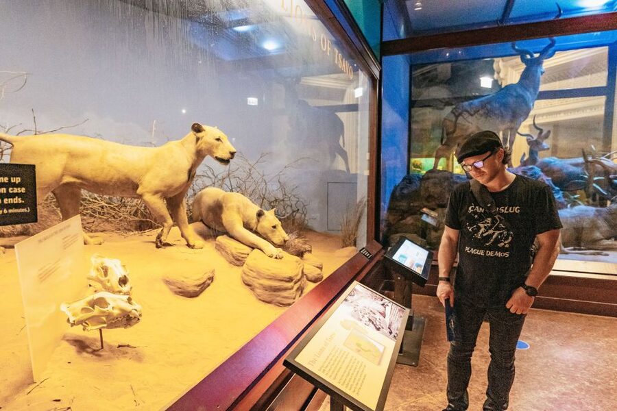 Chicago: Field Museum of Natural History Ticket or VIP Tour - Is the Early Access VIP Tour worth it?