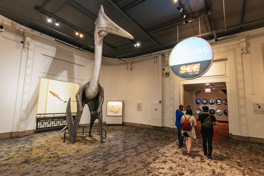 Chicago: Field Museum of Natural History Ticket or VIP Tour - Food, parking, and small practical details