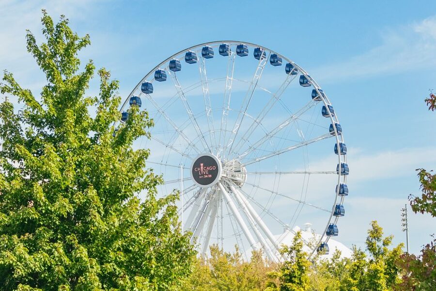 Chicago: Hop-on Hop-off Sightseeing Tour by Open-top Bus - Navy Pier and the Chicago River cruise option