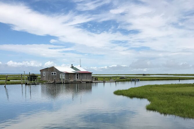 Chincoteague's Up The Bay Pony and Wildlife Tour by Boat - Who will enjoy this boat tour most?