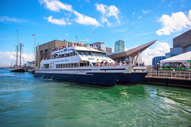 City Cruises Boston Whale Watching Cruise by High-Speed Boat - Leaving Long Wharf for Stellwagen Bank