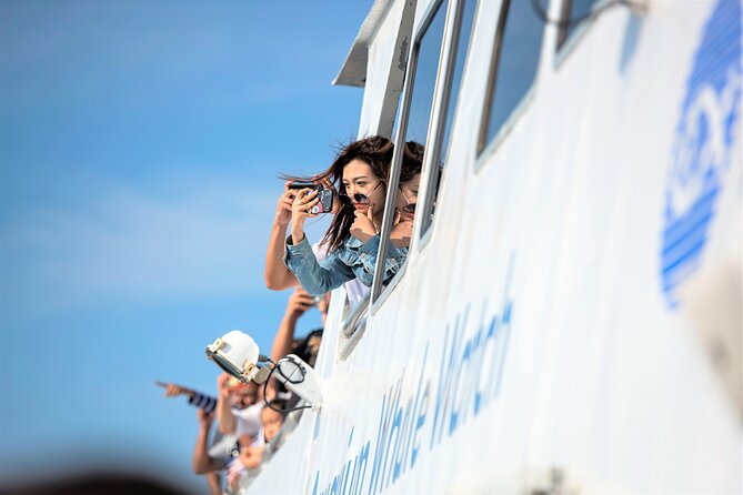 City Cruises Boston Whale Watching Cruise by High-Speed Boat - Who should book this Boston cruise?