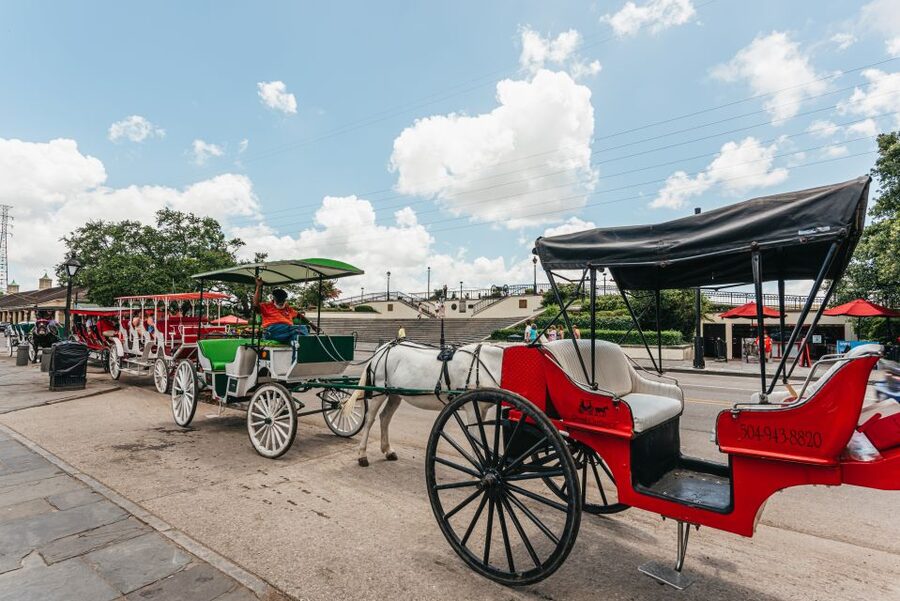 City Sightseeing New Orleans HOHO Bus Tour & Bookable Extras - Stops 16 to 18: Mardi Gras World, the Arts District, and the River