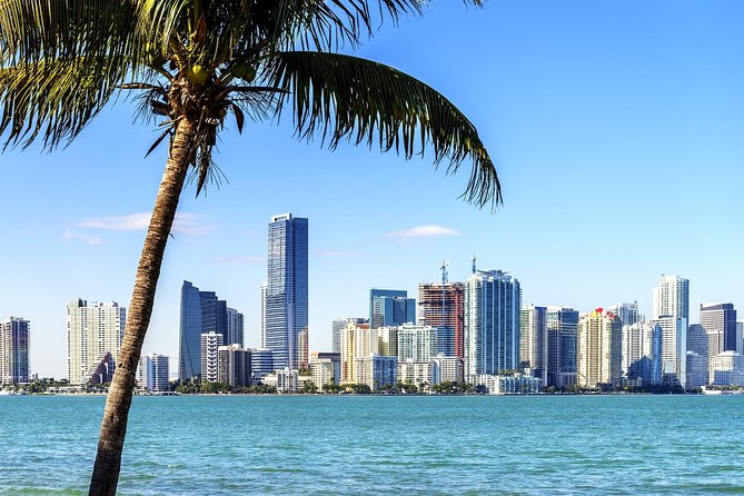 City Tour Miami PLUS and Boat Tour - Coconut Grove, peacocks, and a drive-by glimpse