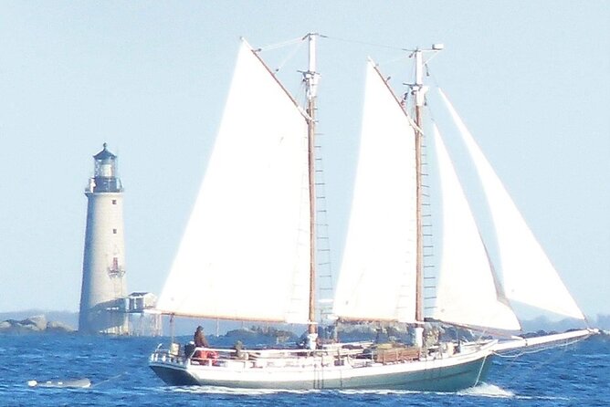 Classic Tall Ship Cruise in Boston Harbor - Wind determines the character of the trip