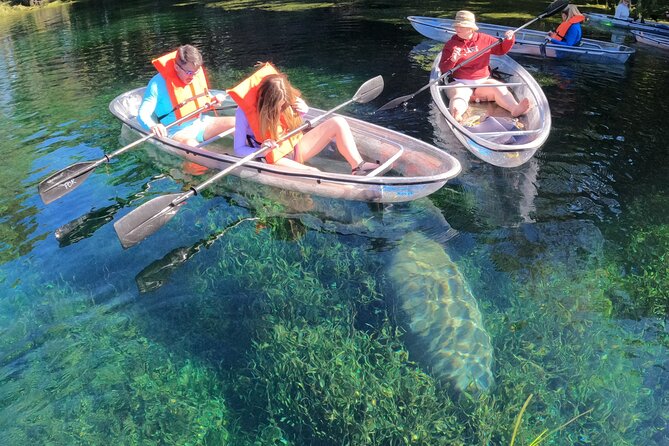 Clear Kayak Manatee Ecotour of Crystal River - The clear kayak view, when conditions cooperate