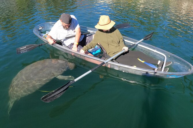Clear Kayak Manatee Ecotour of Crystal River - Parking, launch fees, and the real price