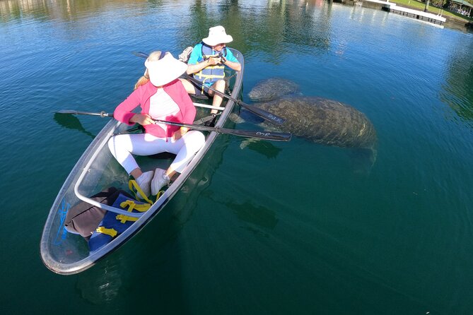 Clear Kayak Manatee Ecotour of Crystal River - Arrival timing and what to bring