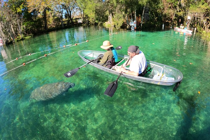 Clear Kayak Manatee Ecotour of Crystal River - Manatee sightings and the reality of wild animals