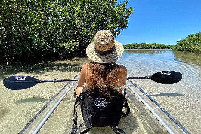 Clear Kayak Tour of Shell Key Preserve and Tampa Bay Area - Five things to know before you paddle