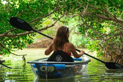 Clear Kayak Tour of Shell Key Preserve and Tampa Bay Area