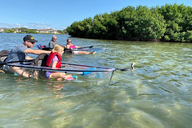 Clear Kayak Tour of Shell Key Preserve and Tampa Bay Area - How hard is the paddling?