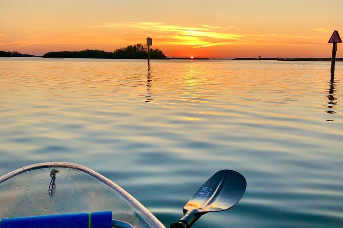Clear Kayak Tour of Shell Key Preserve and Tampa Bay Area - Choosing the best time of day