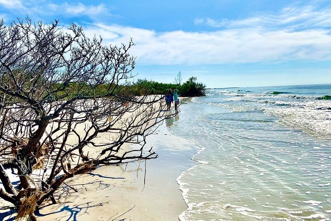 Clear Kayak Tour of Shell Key Preserve and Tampa Bay Area - What the $79 price really covers