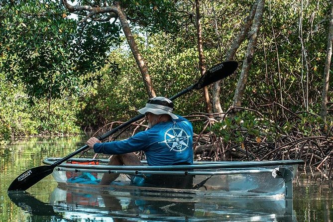 Clear Kayak Tours in Fort Pierce - Key points to know before you paddle
