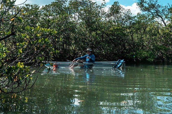 Clear Kayak Tours in Fort Pierce - Inside the shaded mangrove maze