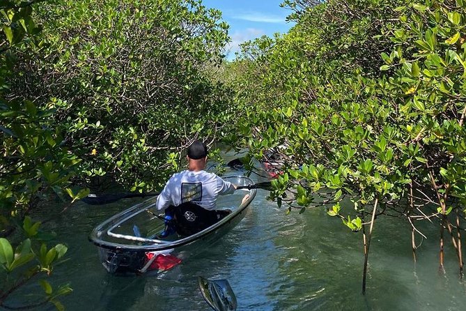 Clear Kayak Tours in Fort Pierce - How much value do you get for $90?