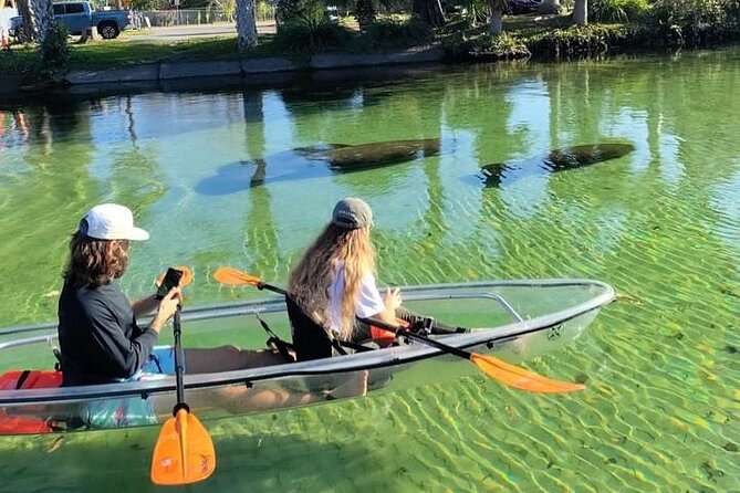 Clear Kayak Tours in Weeki Wachee - Key points at a glance