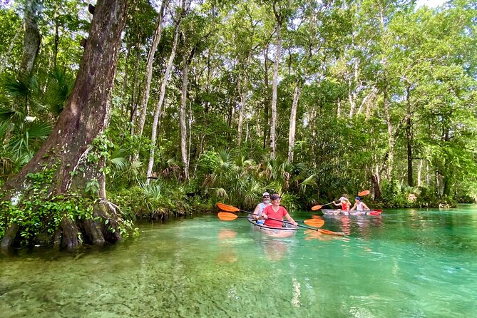 Clear Kayak Tours in Weeki Wachee - What makes Weeki Wachee worth seeing by kayak