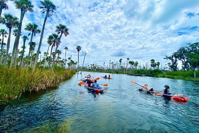 Clear Kayak Tours in Weeki Wachee - Paddling through the estuary