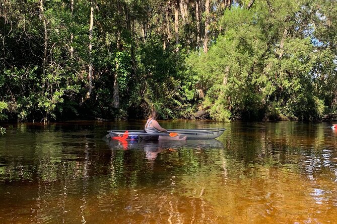Clear Kayak Tours in Weeki Wachee - Wildlife sightings: wonderful but unpredictable