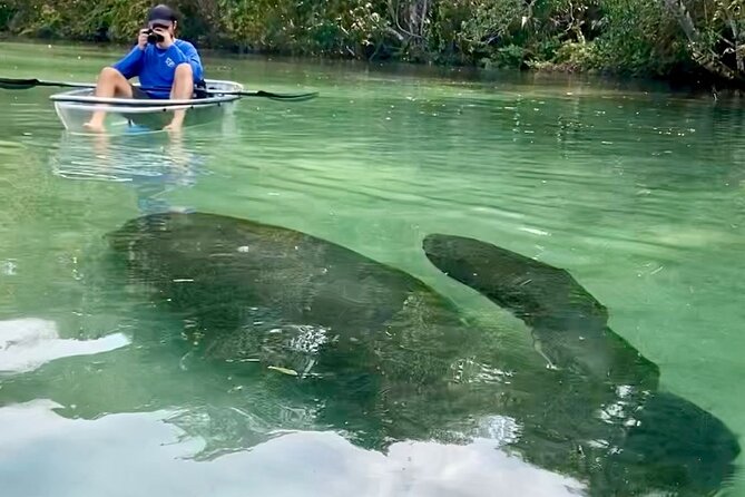 Clear Kayak Tours in Weeki Wachee - The guides are the strongest part