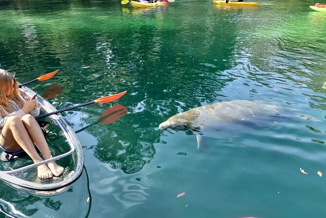 Clear Kayak Tours in Weeki Wachee - Crowds, houses, and the natural setting