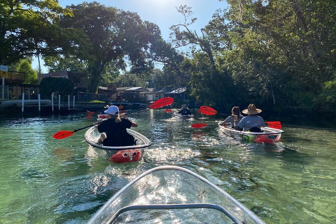 Clear Kayak Tours in Weeki Wachee - Price and value at $79