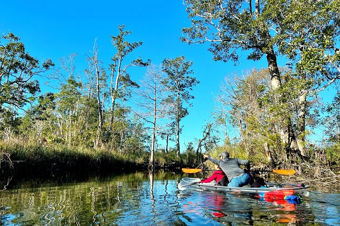 Clear Kayak Tours in Weeki Wachee - Who should book this trip
