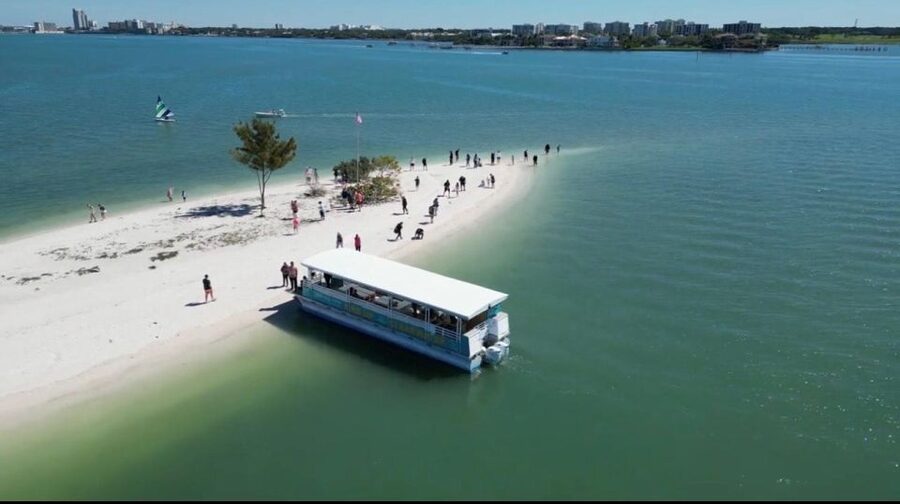 Clearwater Beach: Dolphin & Island Sandbar Cruise - Key points at a glance