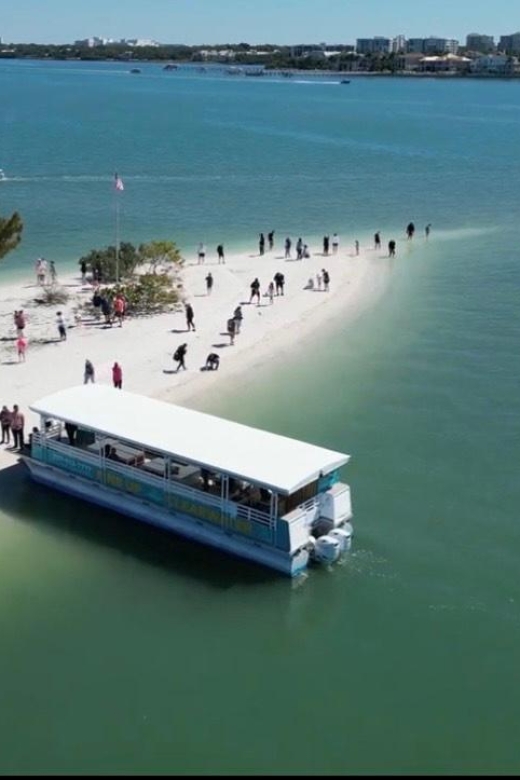 Clearwater Beach: Dolphin & Island Sandbar Cruise - Why this Clearwater cruise offers good value at $28