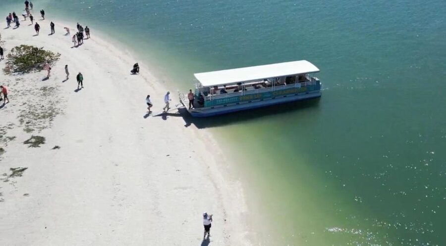Clearwater Beach: Dolphin & Island Sandbar Cruise - Finding dolphins with Matt, Eliza, Zach, and the crew