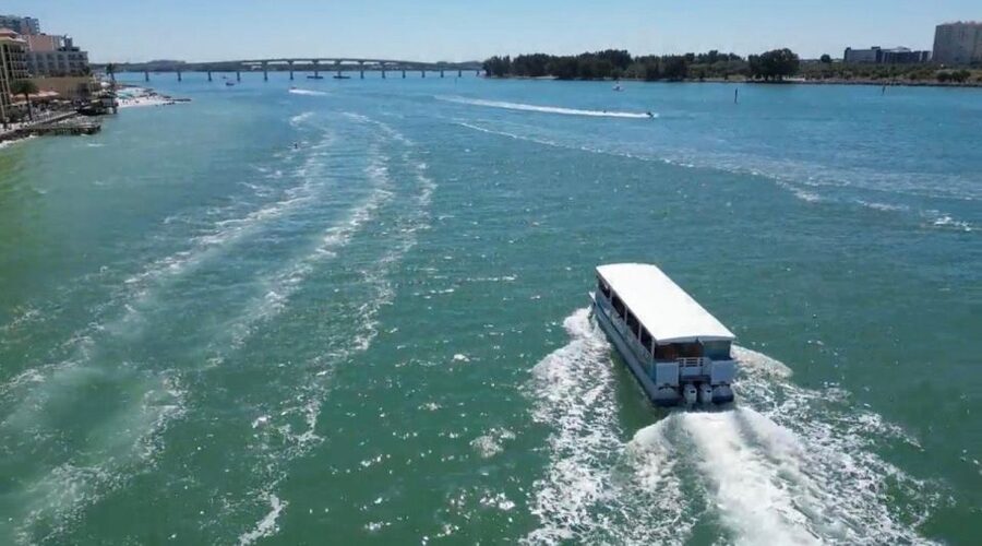 Clearwater Beach: Dolphin & Island Sandbar Cruise - One-Tree Island and the 20 to 30 minute swim