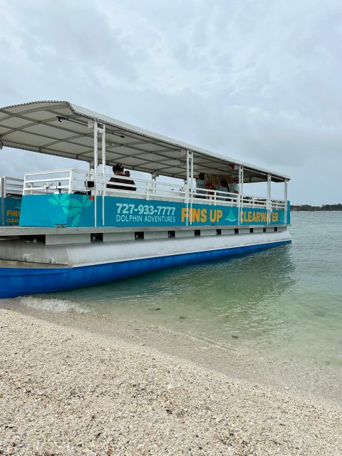 Clearwater Beach: Dolphin & Island Sandbar Cruise - BYOB, shade, ice, and the family details