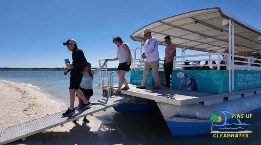 Clearwater Beach: Dolphin & Island Sandbar Cruise - What can affect your comfort