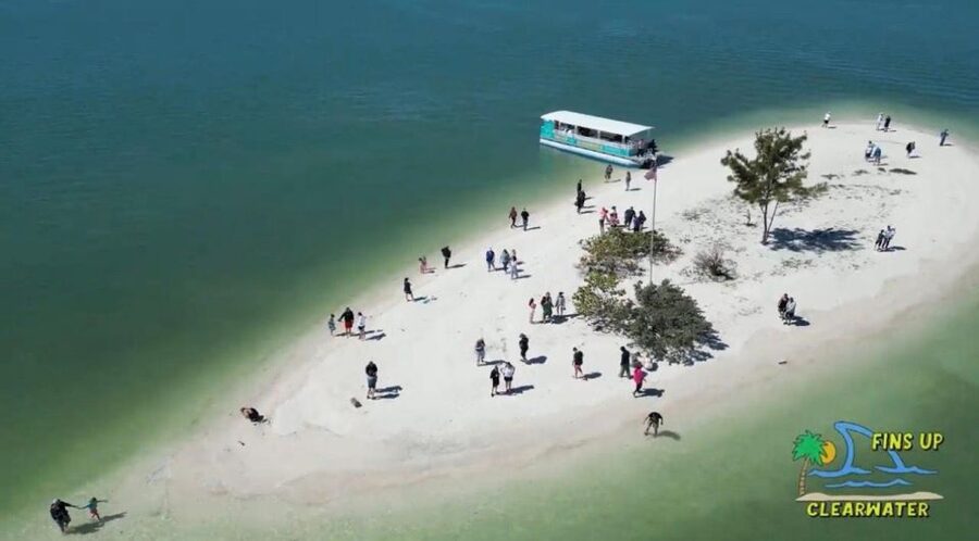 Clearwater Beach: Dolphin & Island Sandbar Cruise - Who should book this tour