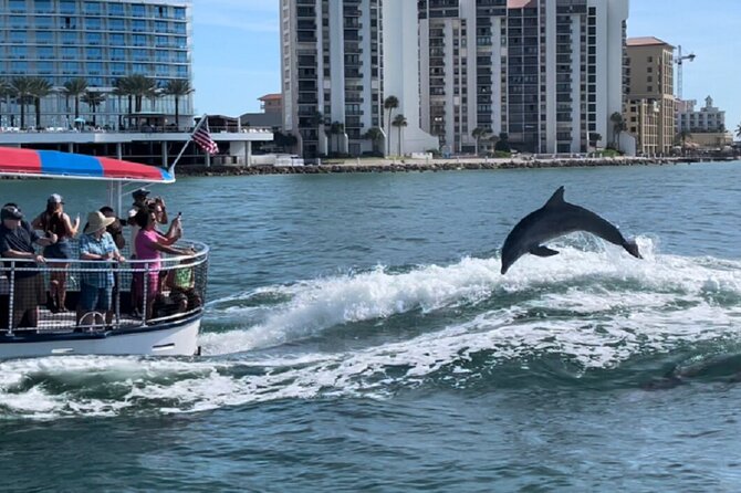 Clearwater Encounters with Dolphins Tour - Timing, cancellations, and useful planning tips