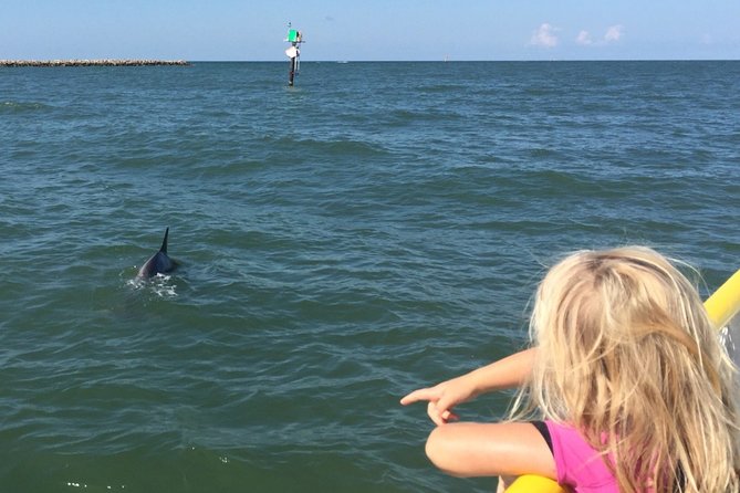Clearwater Encounters with Dolphins Tour - Should you book Clearwater Encounters with Dolphins?