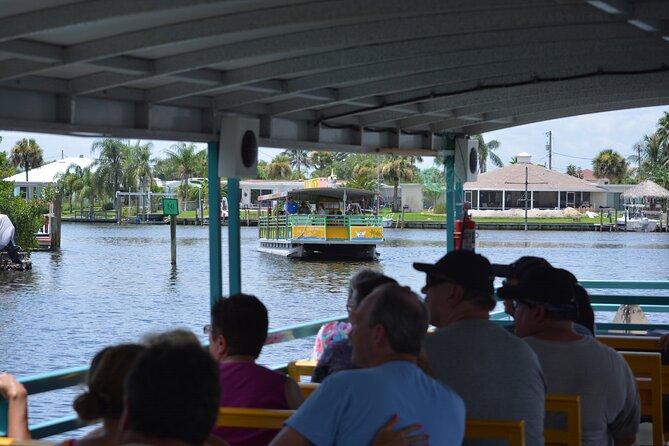 Cocoa Beach Dolphin and Wildlife Tour - Mangrove islands and an estuary full of life