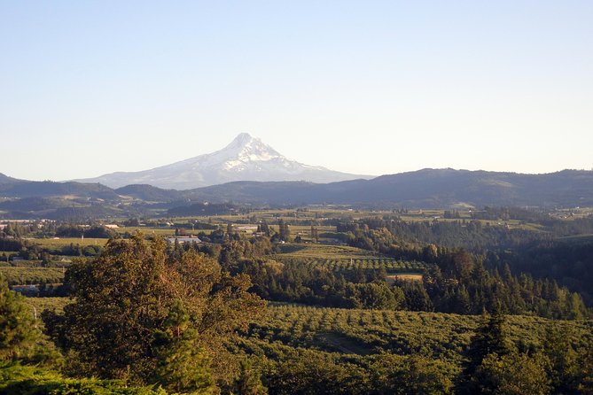 Columbia River Gorge Waterfalls & Mt Hood Tour from Portland, OR - Multnomah Falls is the classic Oregon stop