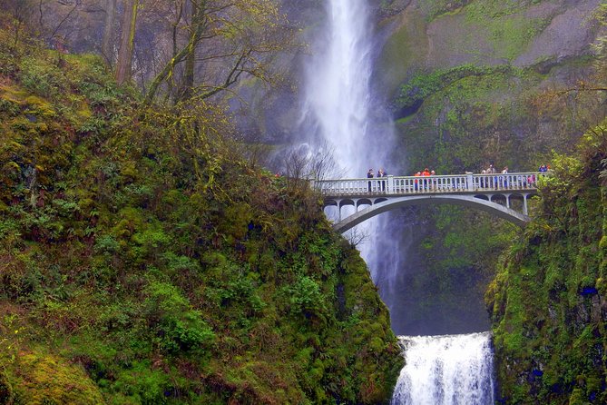 Columbia River Gorge Waterfalls Tour from Portland, OR - Latourell Falls and the short basalt-side walk