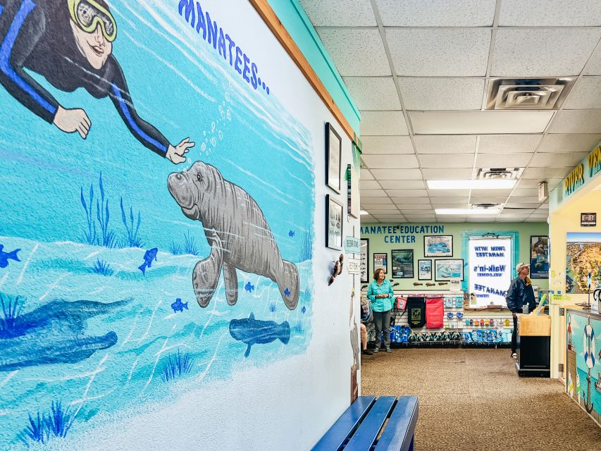 Crystal River: Manatee Snorkel Tour w/ In-Water Photographer - Key points to know before booking