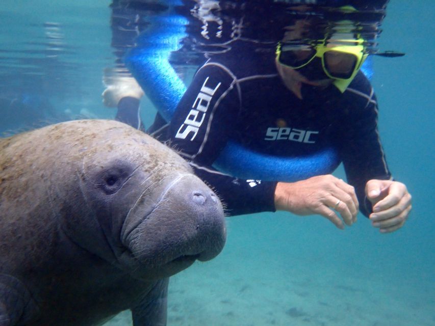 Crystal River: Manatee Snorkel Tour w/ In-Water Photographer - The 25-minute briefing makes the encounter better